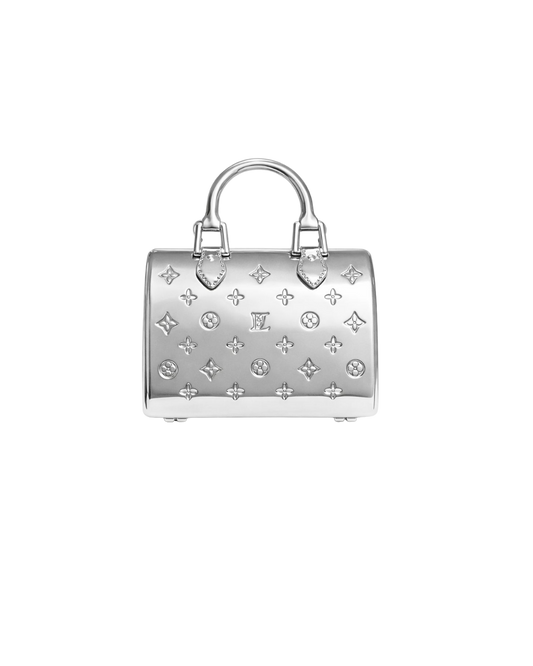 Mini Stylish Steel Bag