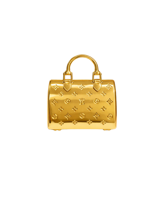 Mini Stylish Steel Bag